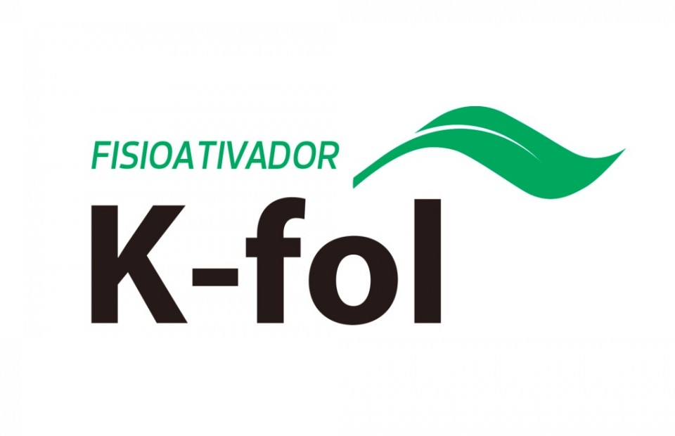 K-Fol